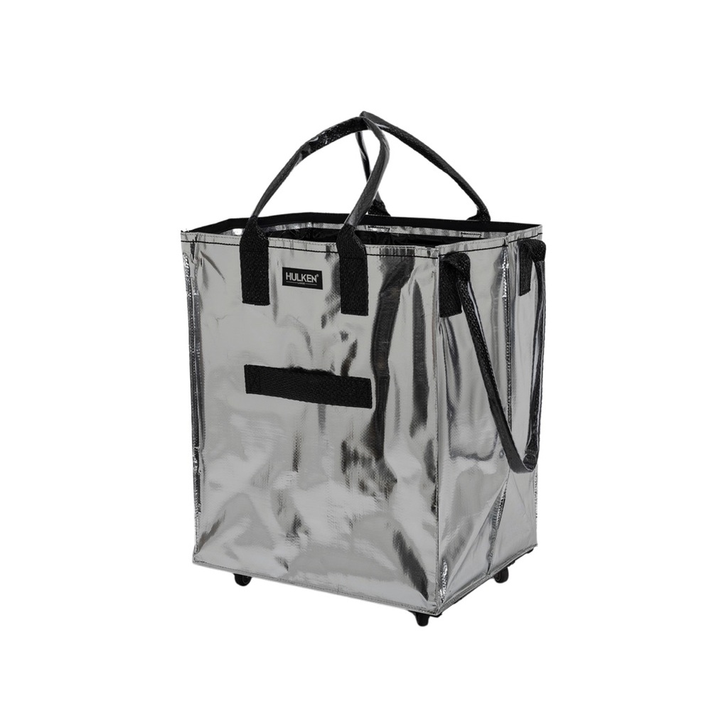 Silver Women's Travel Bag